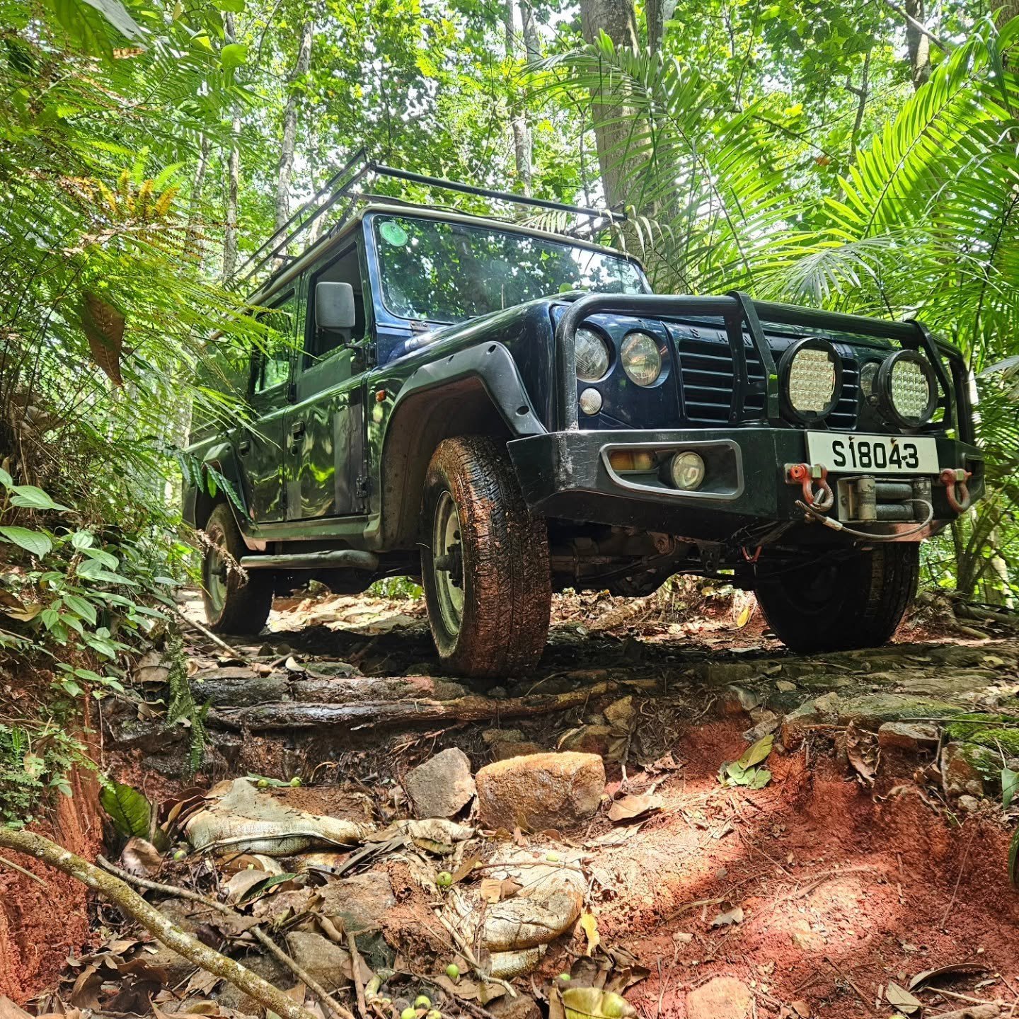 En Land Rover Defender på et stenet spor gennem tæt grøn jungle