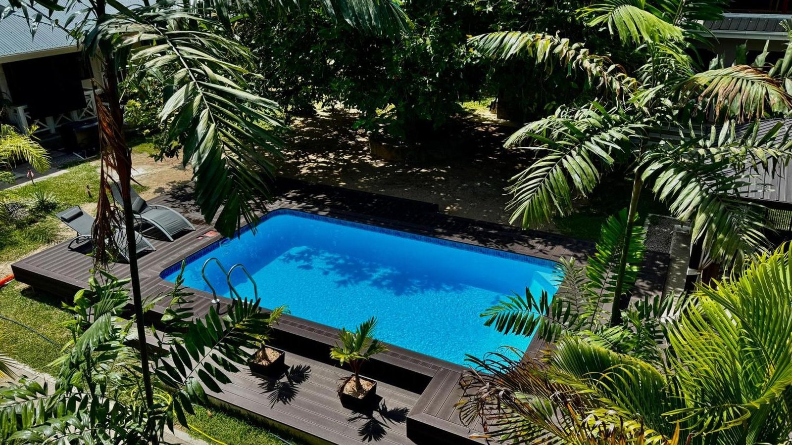 Poolen på Alibel Beach Villa set oppefra gennem havens palmer ved Anse à la Mouche på Mahé