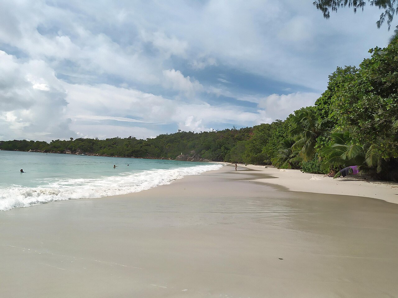 Anse Lazio på Praslin, en lang strand med skoven helt ned til sandet