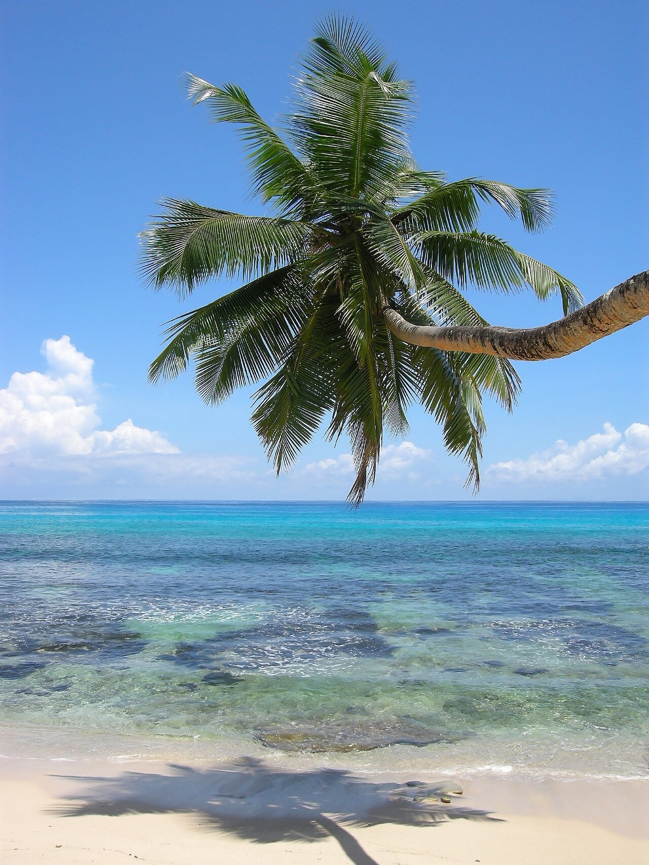 Anse Takamaka, billede 4