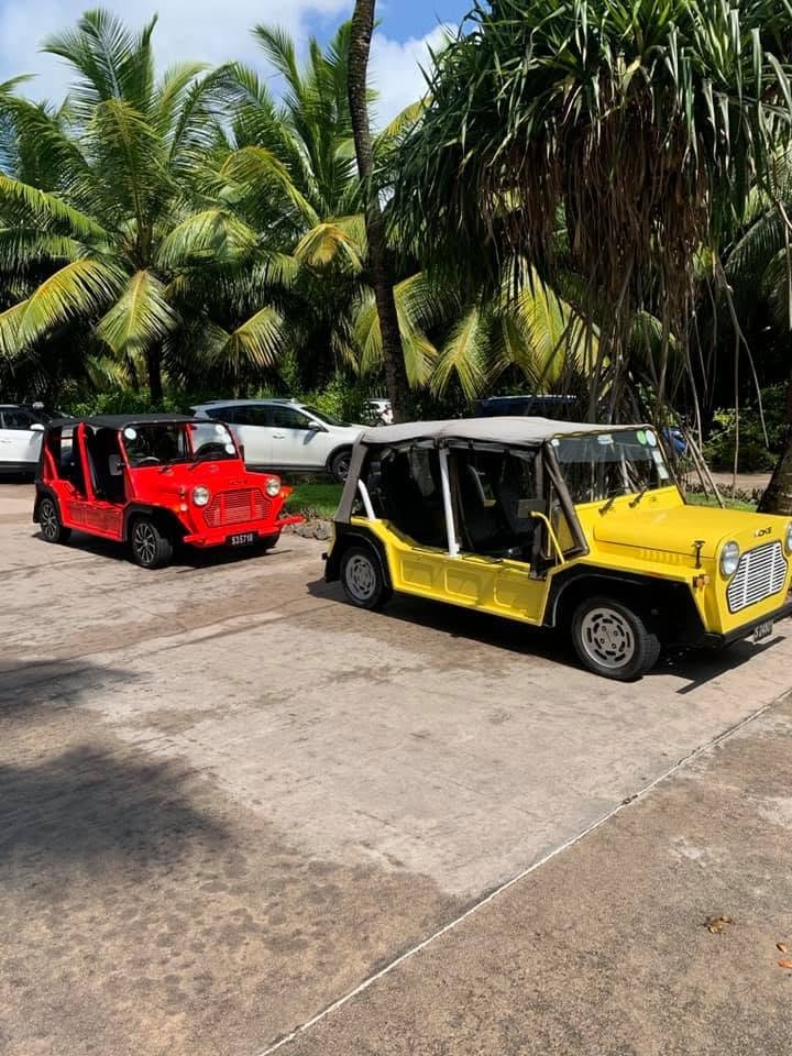 En rød og en gul Mini Moke parkeret under palmer