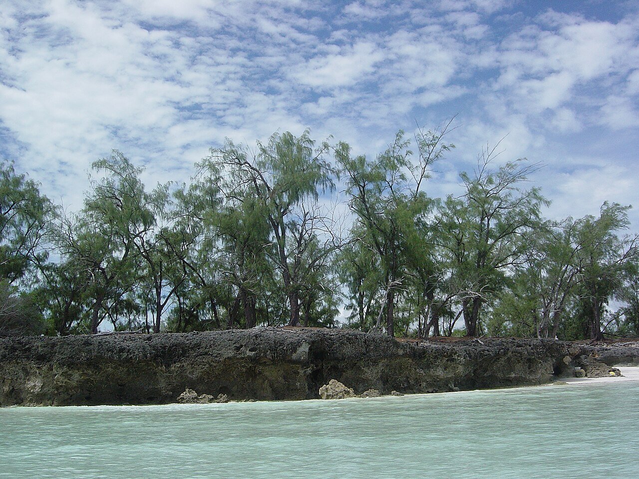 Aldabra, billede 4