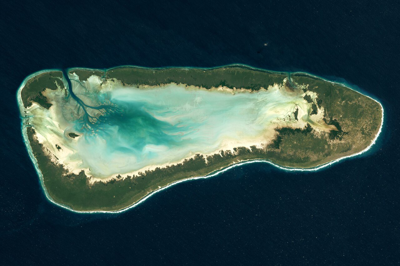 Aldabra, billede 5