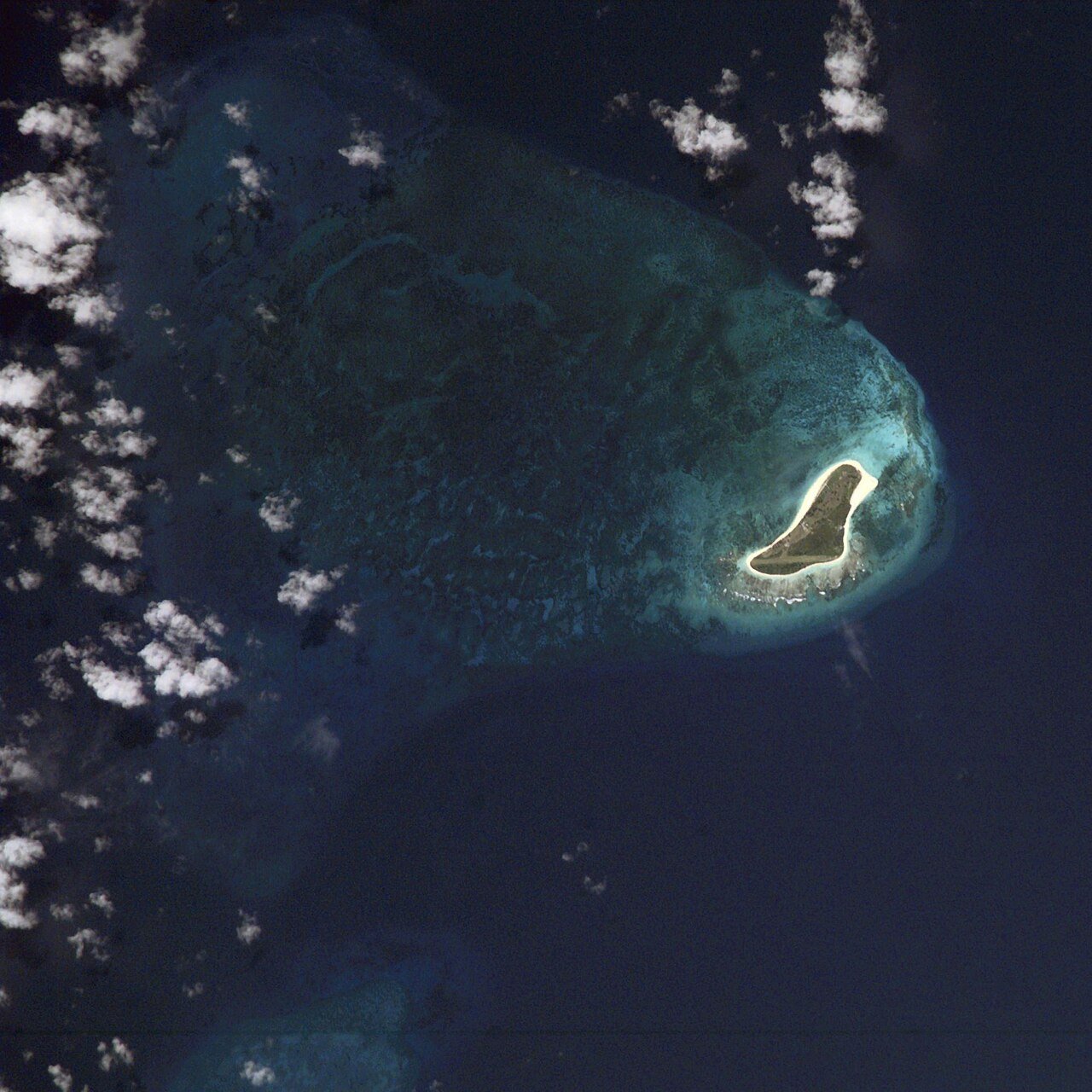 Bird Island, billede 2