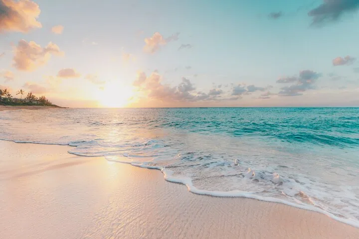 Praslin og La Digue på én dag, billede 6