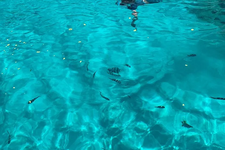 Anse Major, Baie Ternay og lidt fiskeri, billede 2