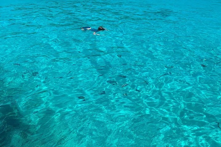 Anse Major, Baie Ternay og lidt fiskeri, billede 3