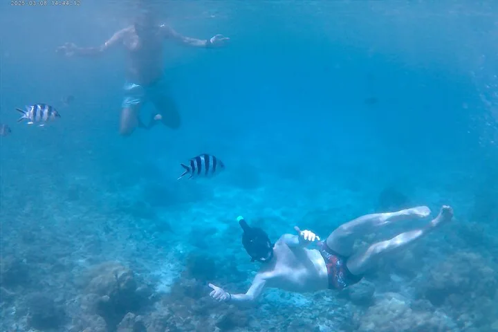 Curieuse, St Pierre og Anse Lafarine, billede 4