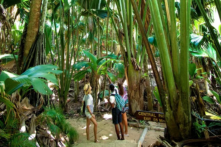 Guidet vandring i Vallée de Mai, billede 2