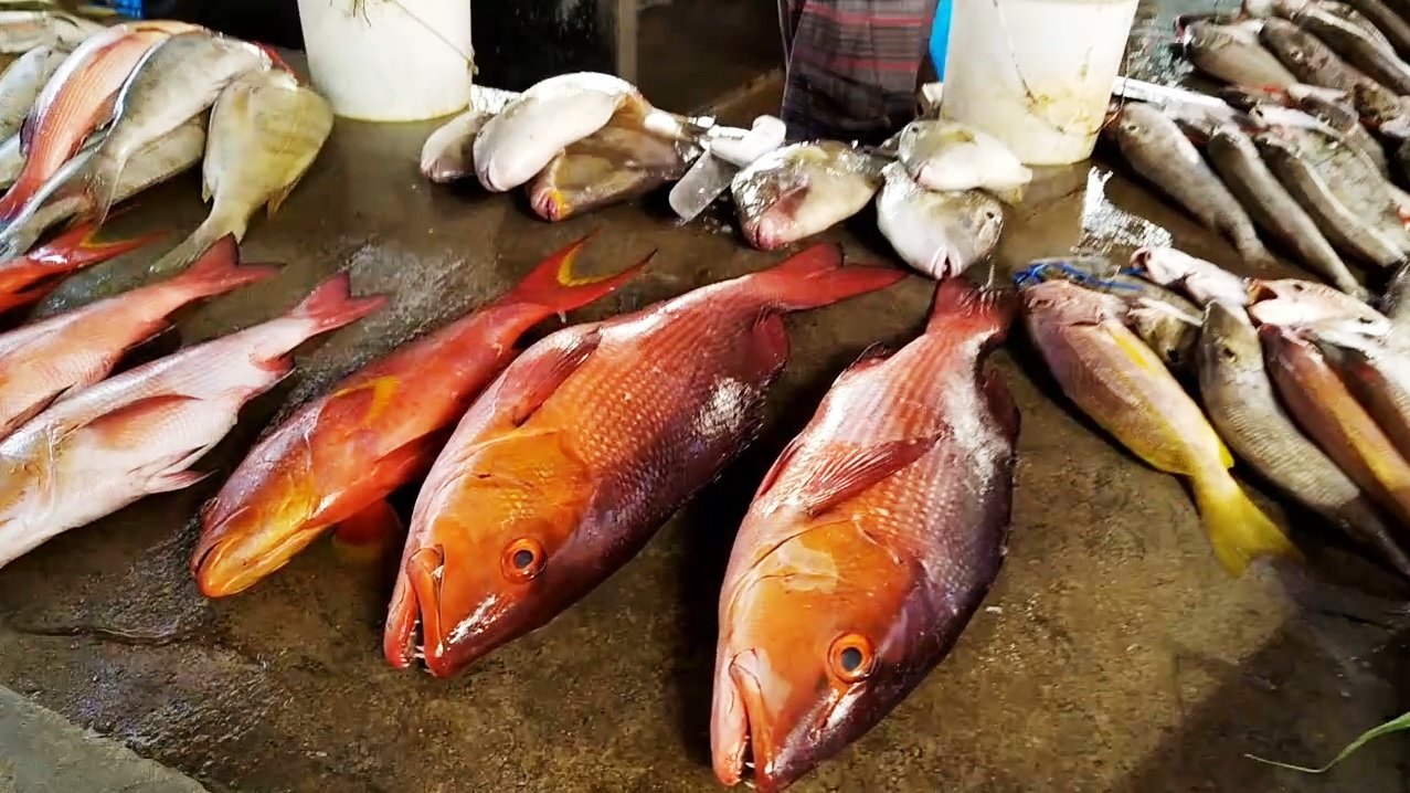Fisk lagt frem på disken i markedshallen i Victoria